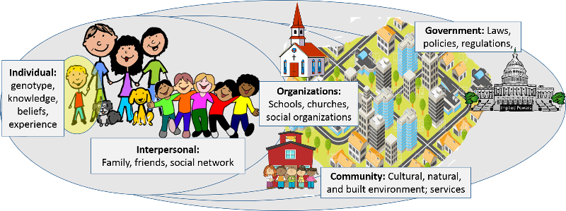 The socio-ecological model summarizing the multiple spheres that influence health from individual factors, to family and friends, to organizations such as schools or church, to community factors that include cultural factors and the natural and built environment, and even the legal and political environment